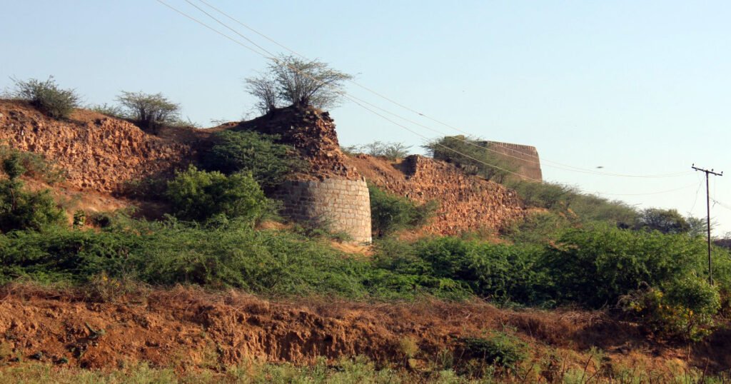 tirunelveli to arani drop taxi