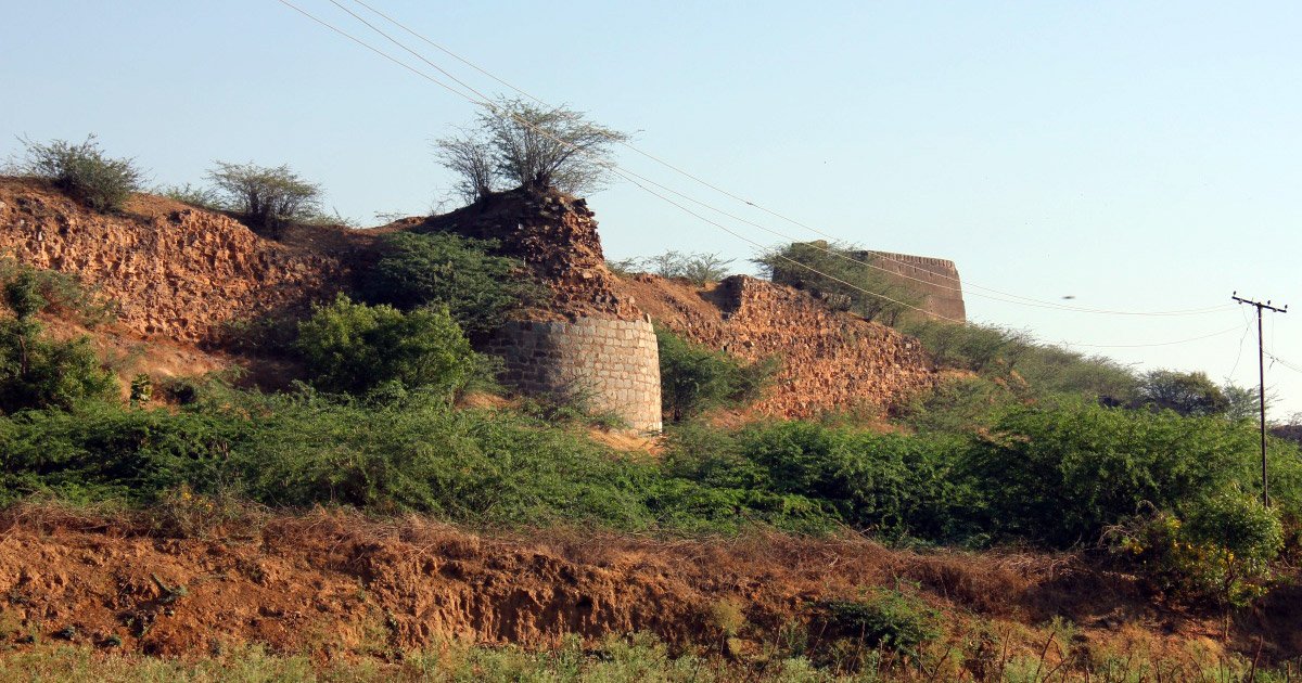 tirunelveli to arani drop taxi