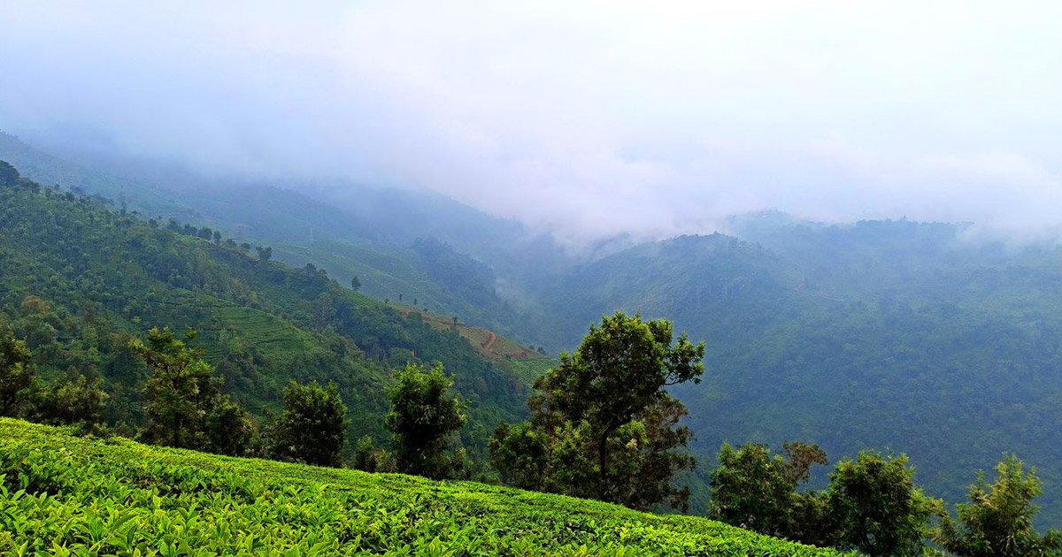 tirunelveli to coonoor drop taxi