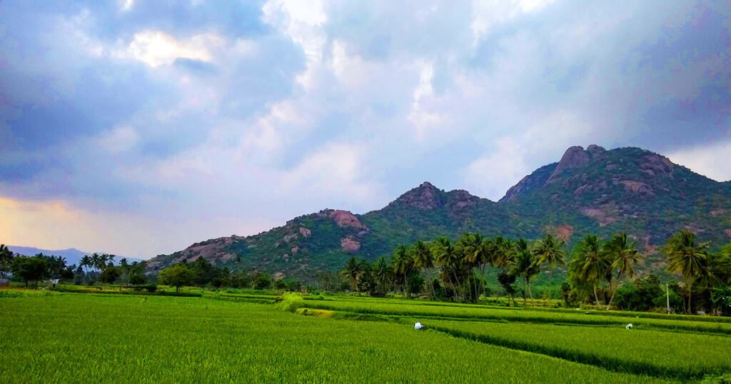 tirunelveli to kallakkurichi drop taxi