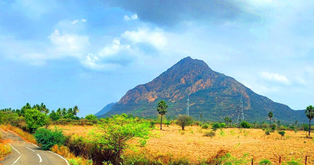 tirunelveli to karur drop taxi