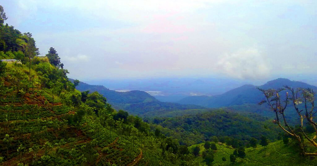 tirunelveli to mettupalayam drop taxi