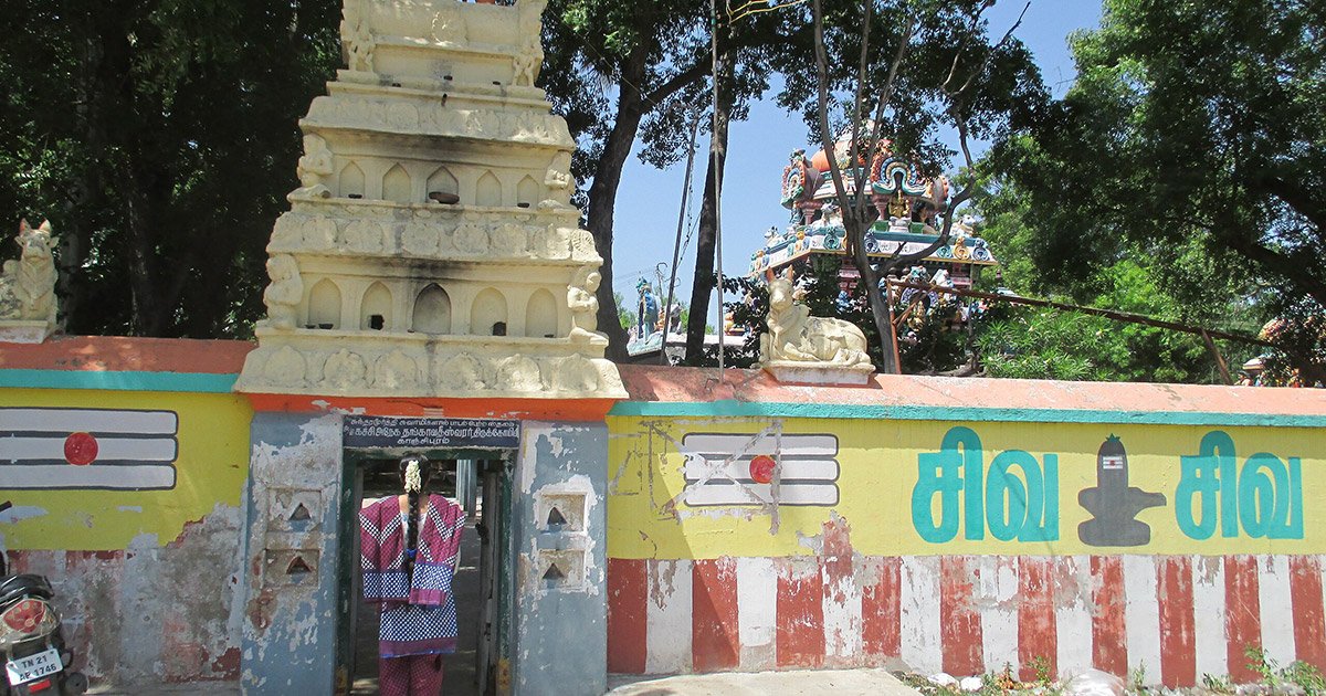 tirunelveli to walajapet drop taxi