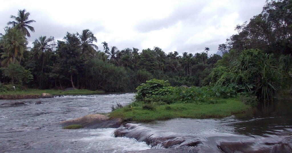 tirunelveli to walayar drop taxi