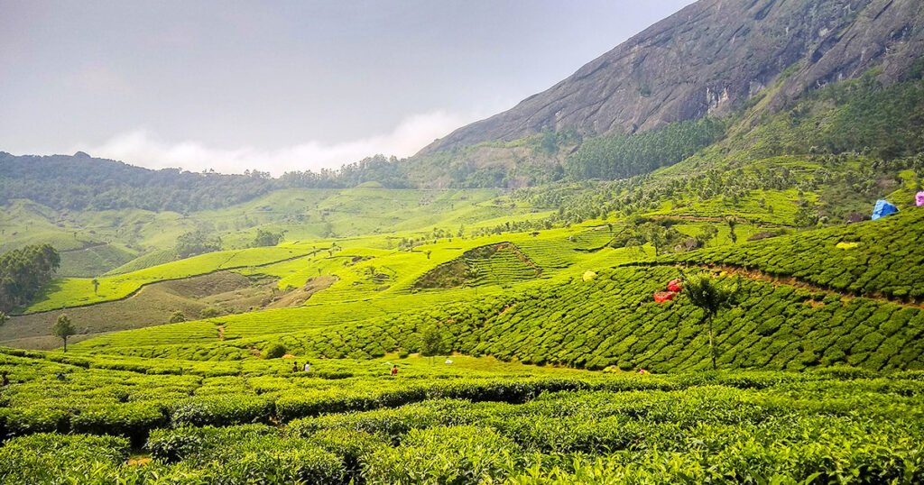 thoothukudi to munnar call taxi